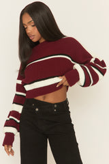 Wine Stripe Cropped Knit Jumper - Isobella
