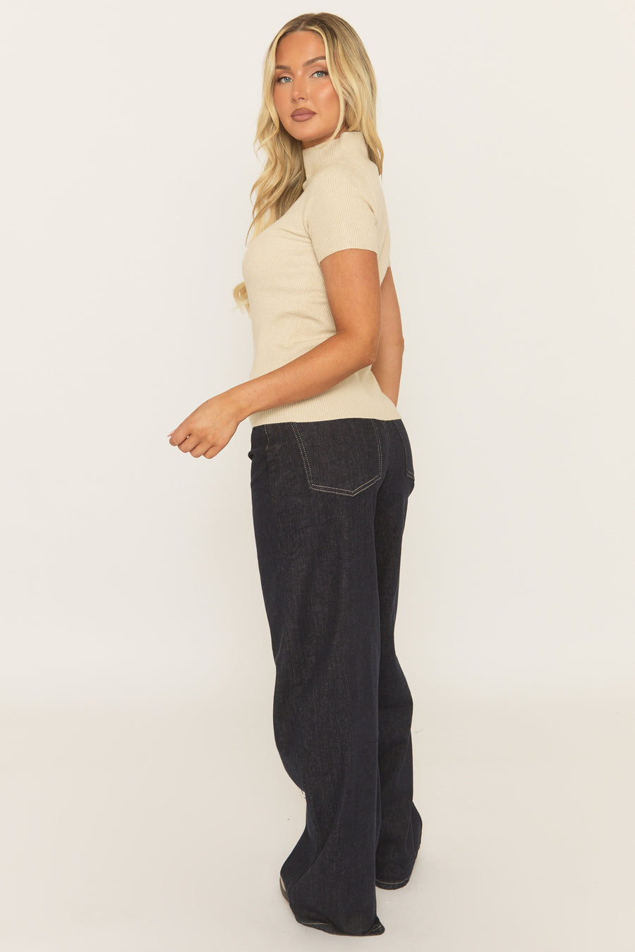 Beige Fine Knit High Neck Top - Jayca