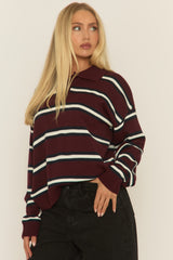 Wine Stripe Collared Knit Jumper - Arana