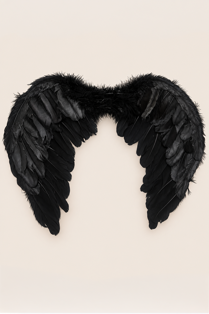 Black Halloween Feather Angel Wings and Halo Set - Minka