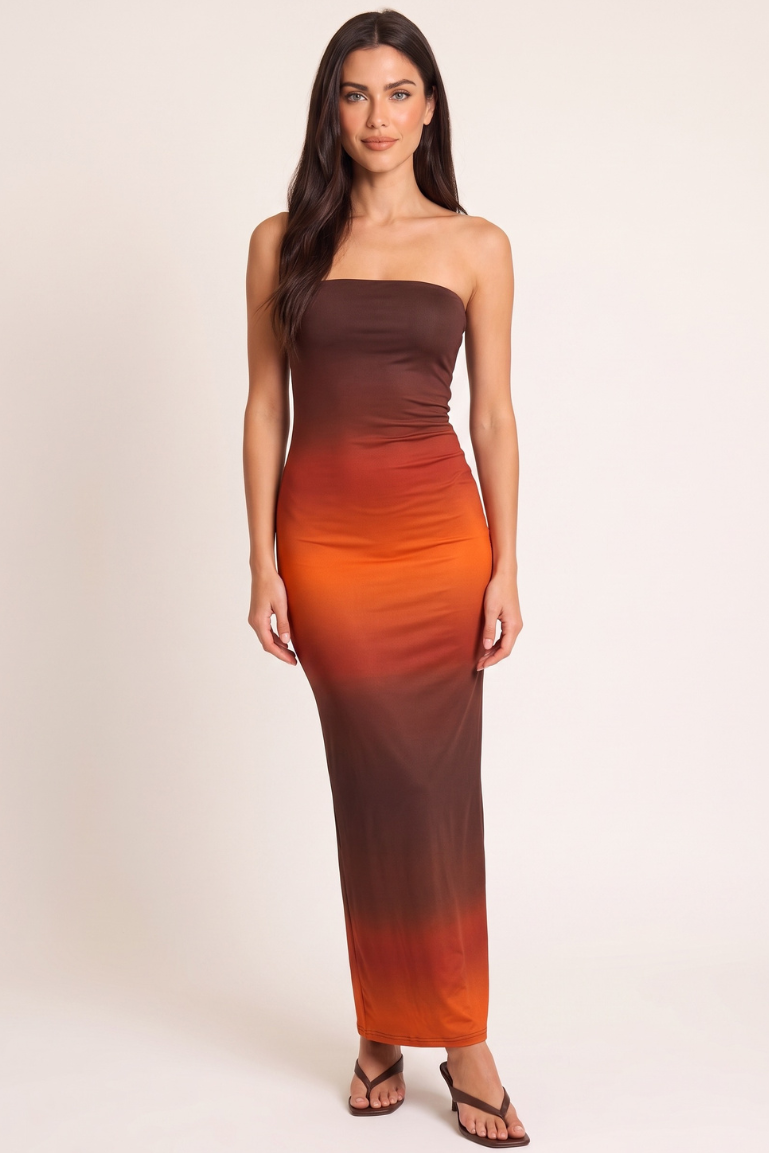 Chocolate Ombre Mesh Maxi Dress - Marnie