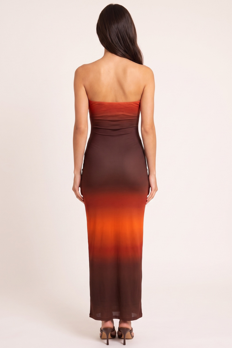 Chocolate Ombre Mesh Maxi Dress - Marnie