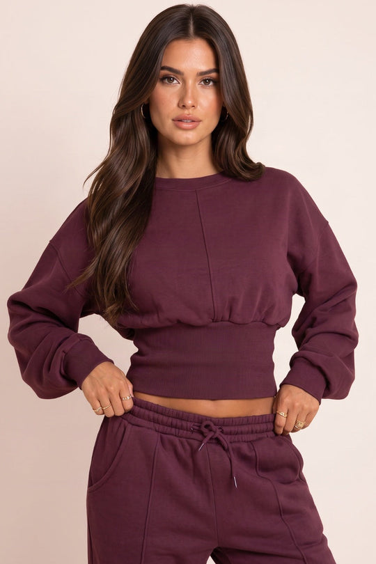 Plum Long Sleeve Cinched Waist Seam Detail Sweatshirt - Ashly