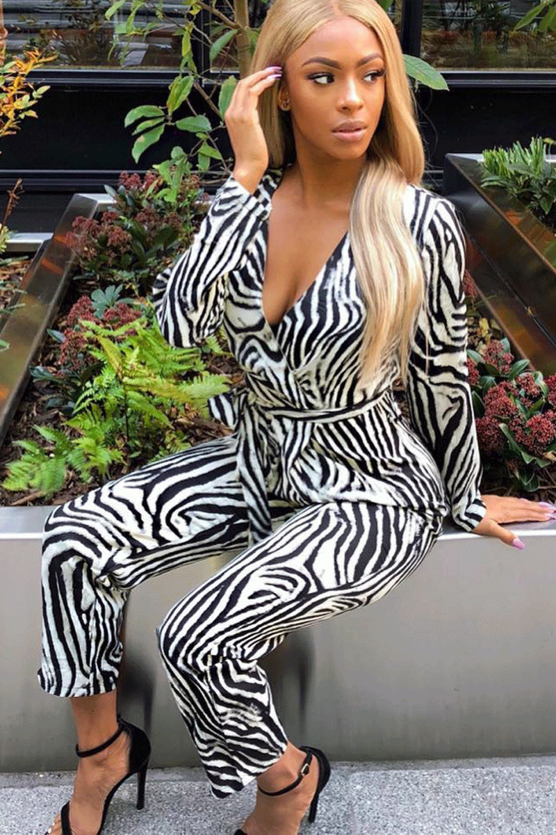 Zebra Plunge Tie Waist Jumpsuit - Ellajane