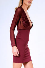 Aubergine Applique Mesh Long Sleeve Bodycon Dress - Georgina-Dresses