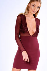 Aubergine Applique Mesh Long Sleeve Bodycon Dress - Georgina-Dresses