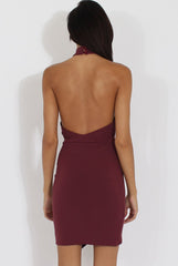 Aubergine High Neck Side Ruched Backless Dress - Tulip-Dresses
