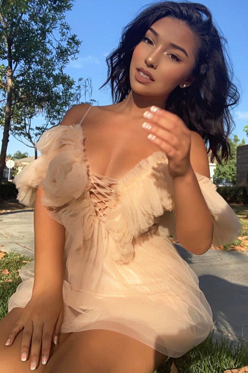 Beige Bardot Off Shoulder Tulle Ruffle Dress - Aarilyn-Dresses