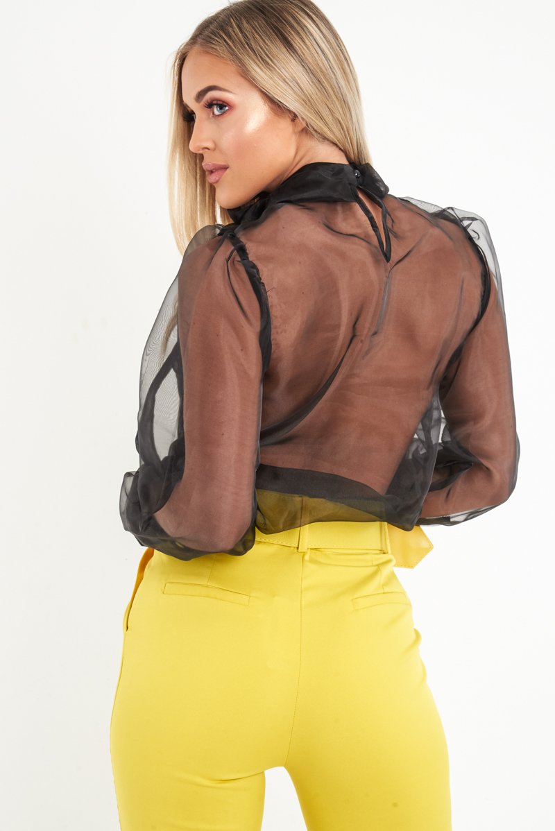 Black Mesh Balloon Sleeve Blouse - Elvina-Tops