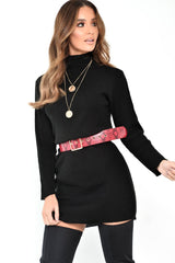 Black Rib Bodycon Turtle Neck Mini Dress - Tesia-Dresses