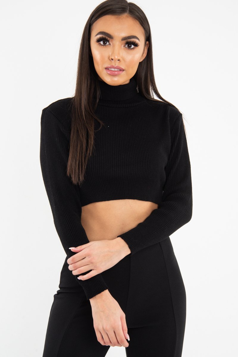 Black Rib Roll Neck Crop Jumper - Hayvin-Crop Jumper