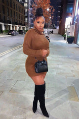 Brown Roll Neck Mini Jumper Dress - Dariyana-Dresses