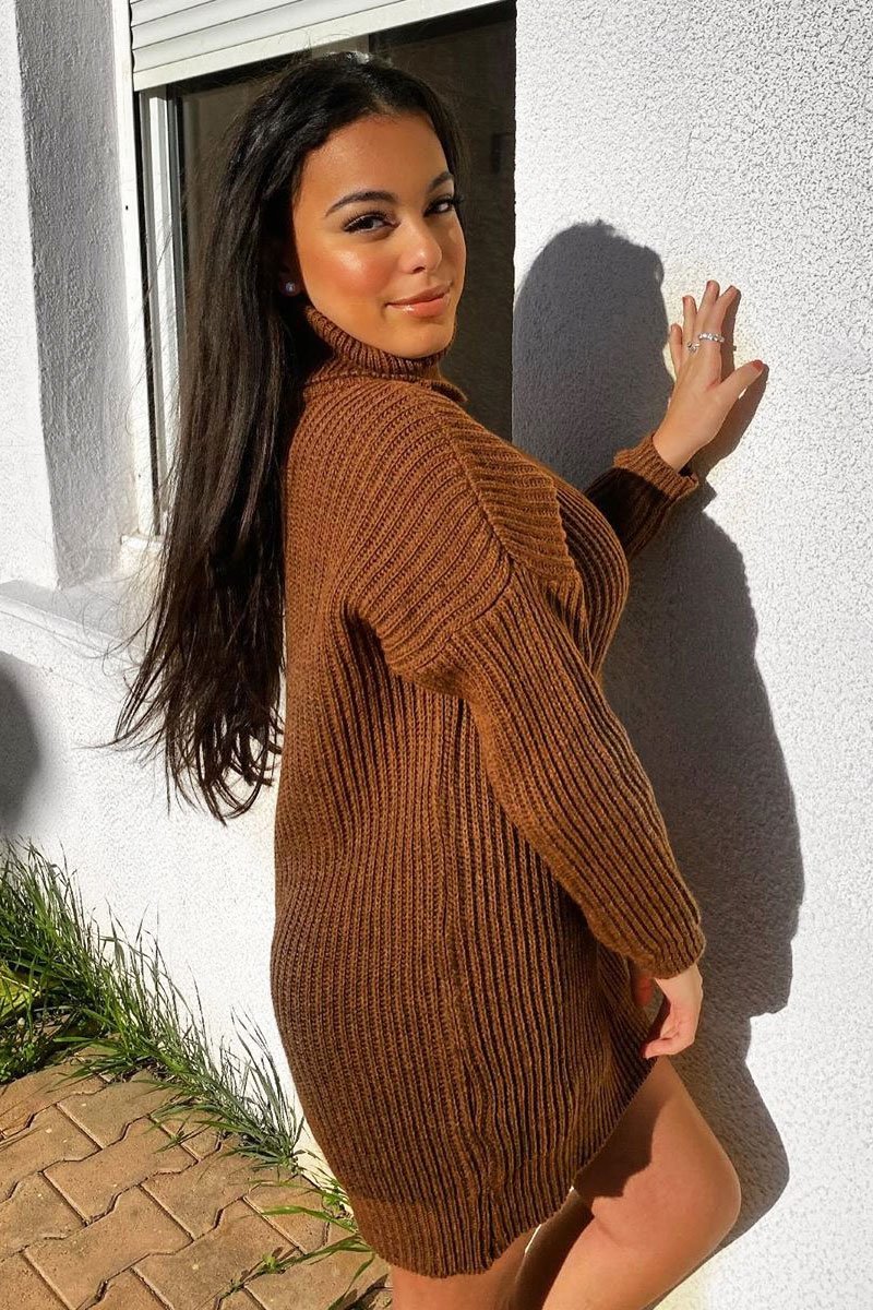 Brown Roll Neck Mini Jumper Dress - Dariyana-Dresses