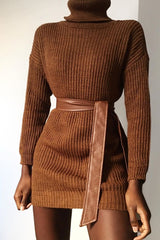 Brown Roll Neck Mini Jumper Dress - Dariyana-Dresses