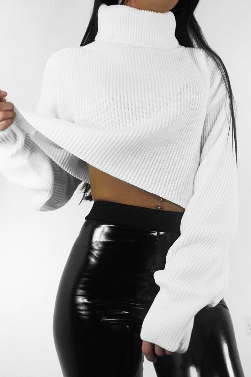 Cream Rib Knit Roll Neck Jumper - Brinna-Jumper