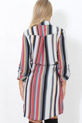 Danty Multi Coloured Stiped Shirt Dress-Dresses