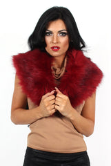 Fiona Wine Faux Fur Collar-Dresses