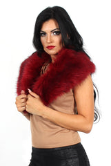 Fiona Wine Faux Fur Collar-Dresses