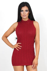 Frauna Wine Bodycon Ribbed Dress-Dresses