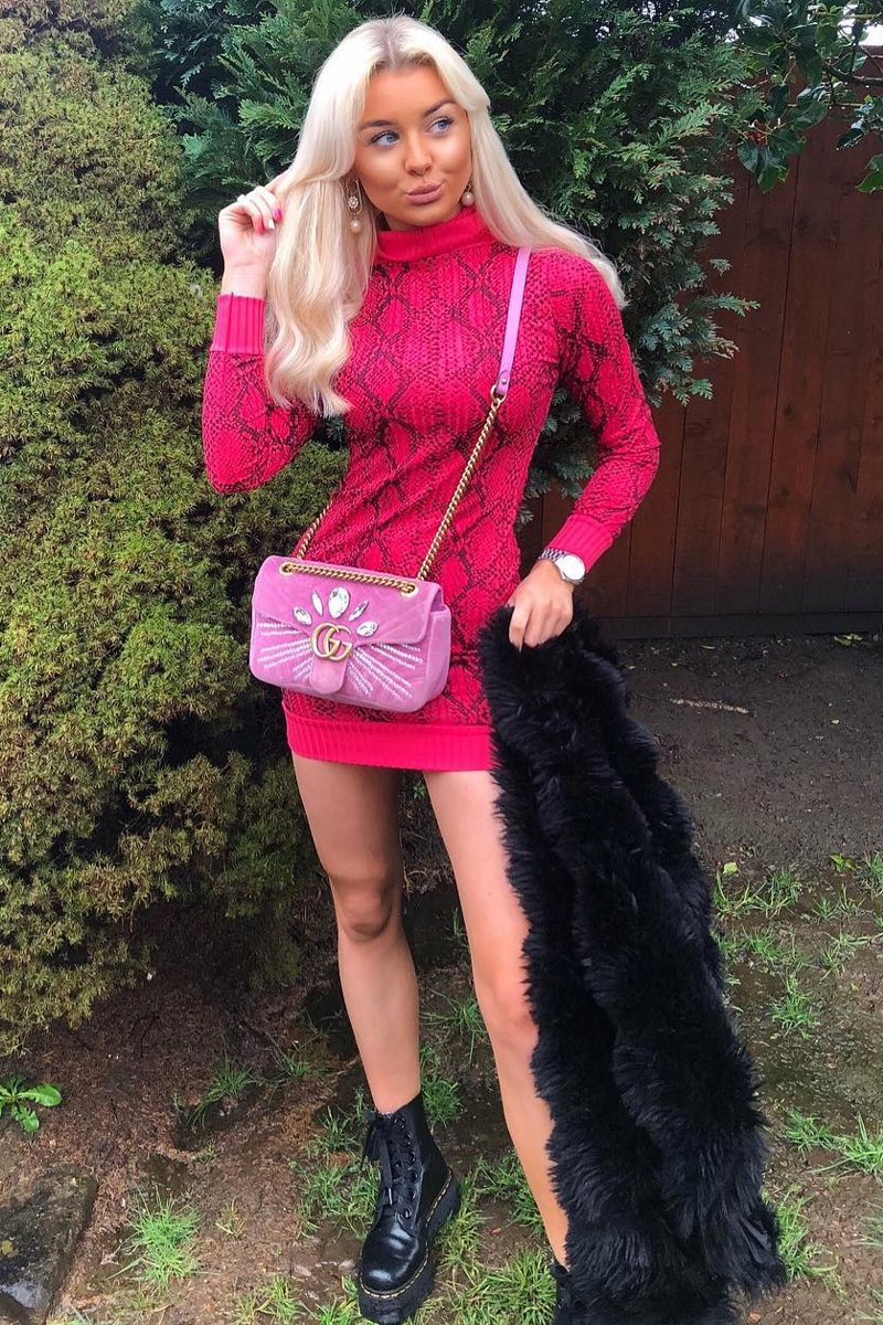 Fuchsia Snake Print Roll Neck Mini Dress - Azani-Dresses