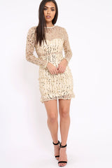 Gold Sheer Sequin Dress - Aaima-Dresses