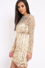 Gold Sheer Sequin Dress - Aaima-Dresses