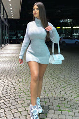 Grey Roll Neck Knit Mini Dress - Franceska-Dresses