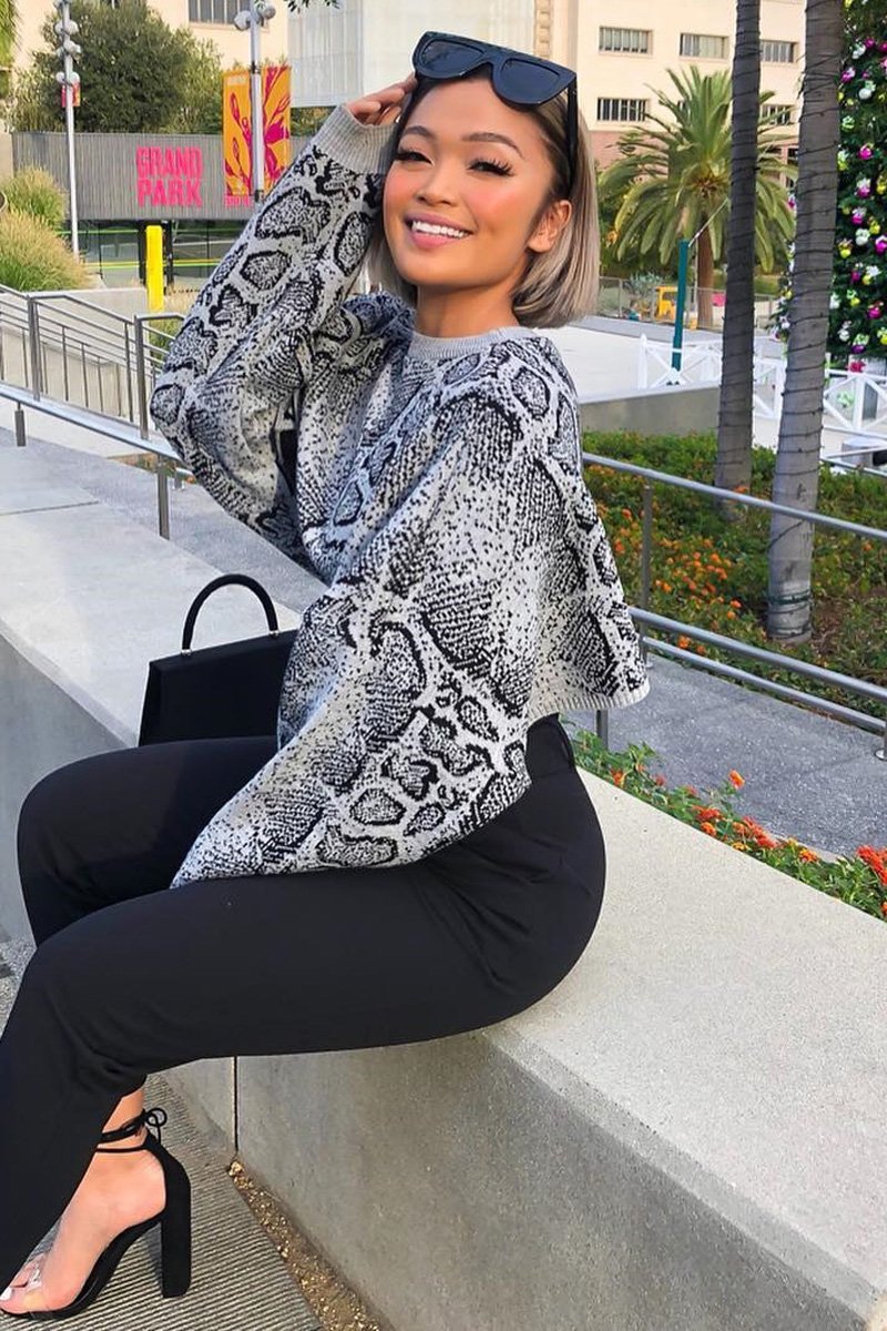Grey Snake Cropped Batwing Jumper - Lizy-Crop Jumper