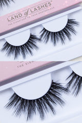 Land of Lashes Hollywood Lash-Beauty