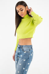 Lime Rib Roll Neck Crop Jumper - Hayvin-Crop Jumper