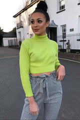Lime Rib Roll Neck Crop Jumper - Hayvin-Crop Jumper