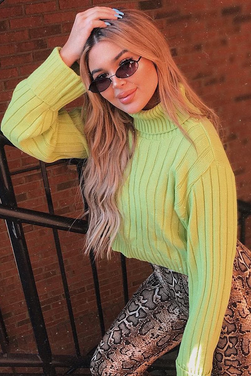 Lime Wide Rib Roll Neck Jumper - Joyanna-Jumper