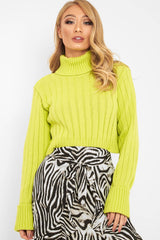 Lime Wide Rib Roll Neck Jumper - Joyanna-Jumper