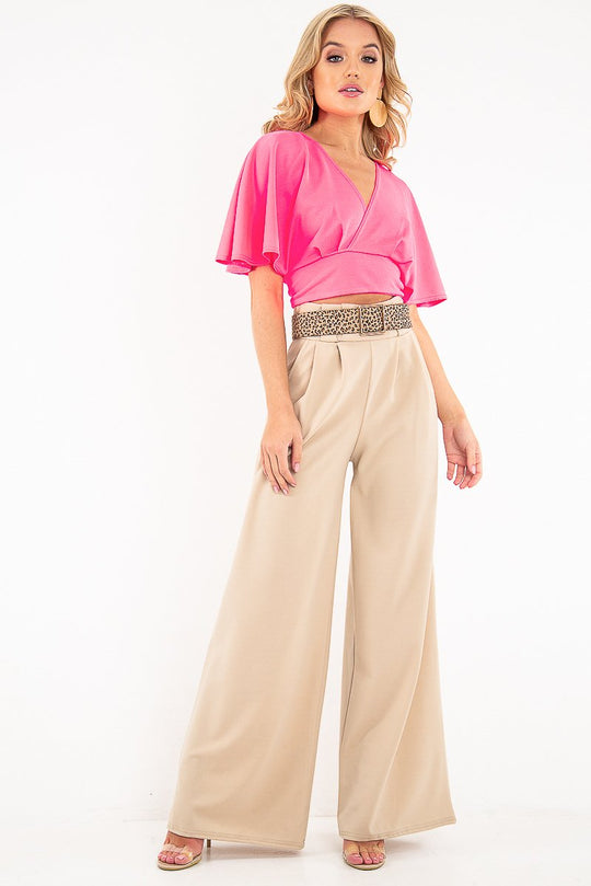 Neon Pink Plunge Tie Back Blouse Crop Top - Bryelle