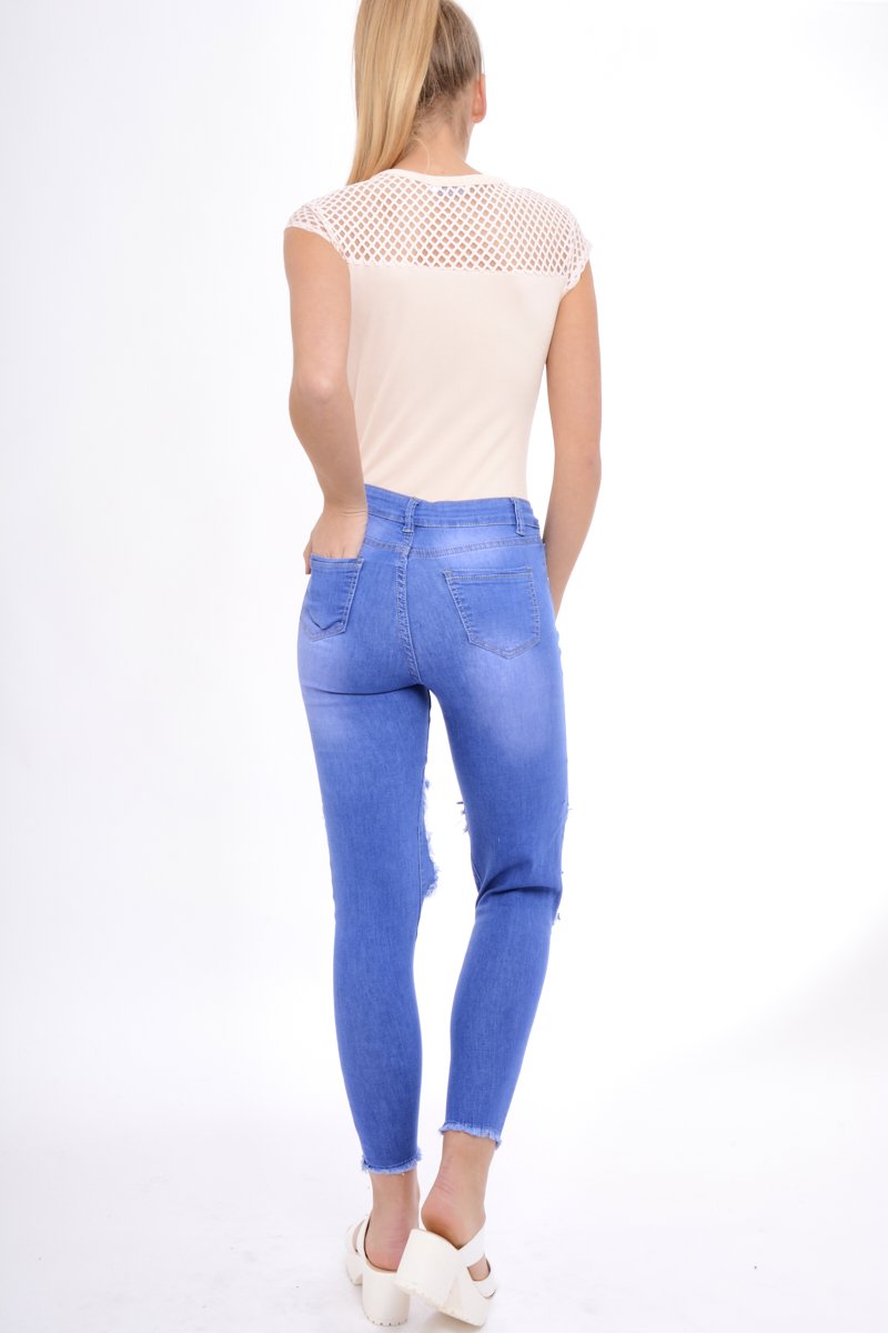 Nude Fishnet Mesh Insert Bodysuit - Felicity-Bodysuits