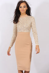 Nude & Gold Mesh Top Embroidered Midi Dress - Louiza-Tops