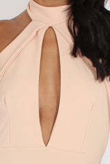 Nude High Neck Backless Midi Dress - Petunia-Dresses