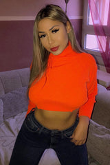 Orange Rib Roll Neck Crop Jumper - Hayvin-Crop Jumper