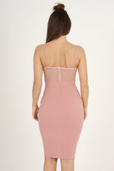 Pink Applique Mesh Bodycon Dress - Tallulah-Dresses