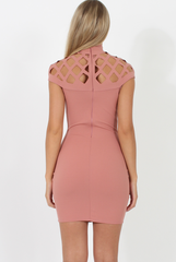 Pink Cage High Neck Bodycon Dress- Kade-Dresses