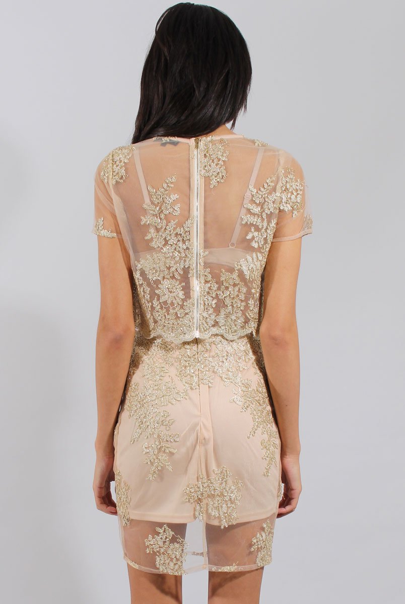 Pink & Gold Embellished Mesh Co-ord - Leila-Co-ords