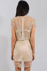 Pink & Gold Embellished Mesh Co-ord - Leila-Co-ords