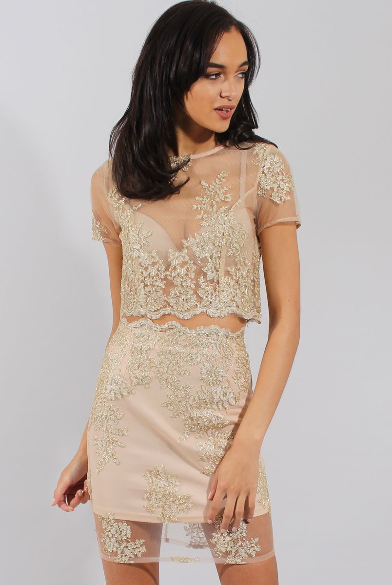 Pink & Gold Embellished Mesh Co-ord - Leila-Co-ords