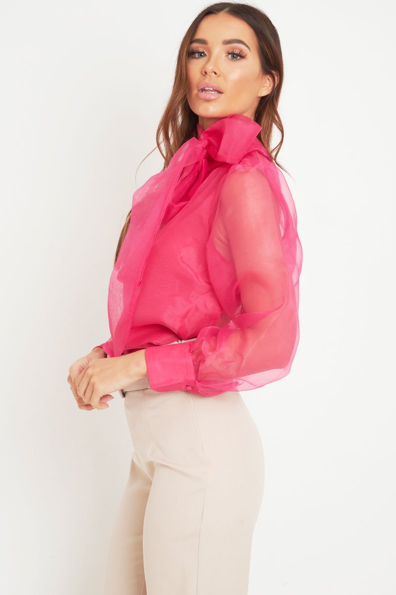Pink Mesh Balloon Sleeve Blouse - Elvina-Tops