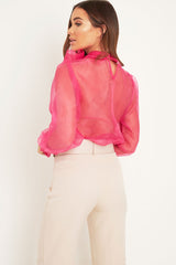 Pink Mesh Balloon Sleeve Blouse - Elvina-Tops