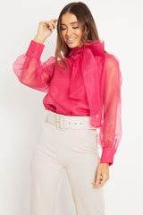 Pink Mesh Balloon Sleeve Blouse - Elvina-Tops