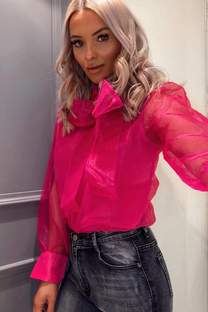Pink Mesh Balloon Sleeve Blouse - Elvina-Tops
