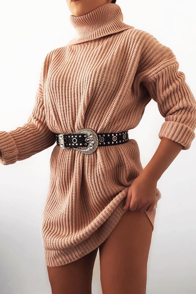 Pink Roll Neck Mini Jumper Dress - Dariyana-Dresses