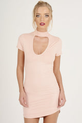Pink Suede Choker Neck Dress - Alani-Dresses