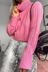 Pink Wide Rib Roll Neck Jumper - Joyanna-Jumper